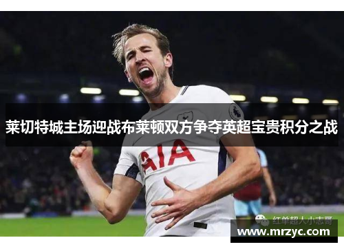 莱切特城主场迎战布莱顿双方争夺英超宝贵积分之战